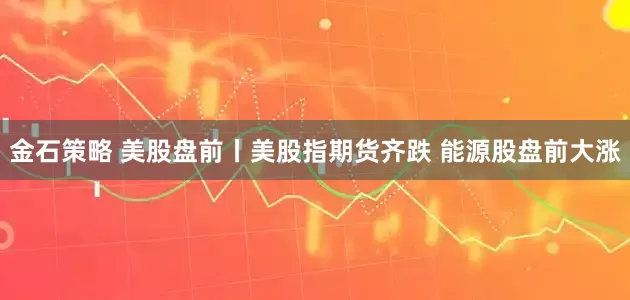 金石策略 美股盘前丨美股指期货齐跌 能源股盘前大涨