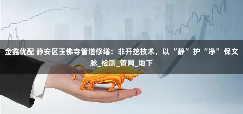 金鑫优配 静安区玉佛寺管道修缮：非开挖技术，以 “静” 护 “净” 保文脉_检测_管网_地下