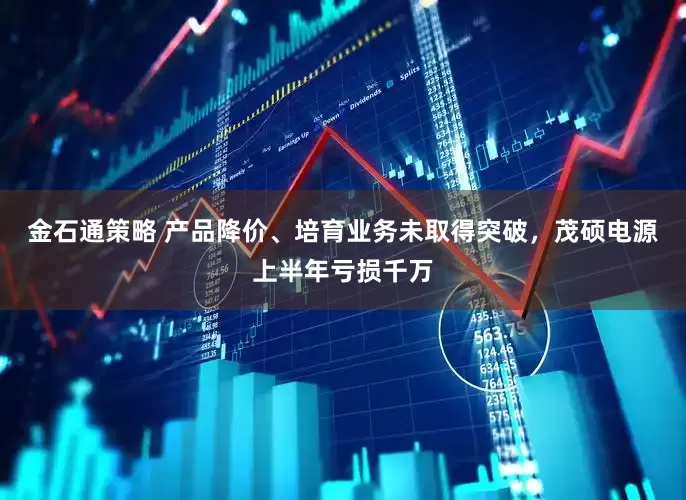 金石通策略 产品降价、培育业务未取得突破，茂硕电源上半年亏损千万